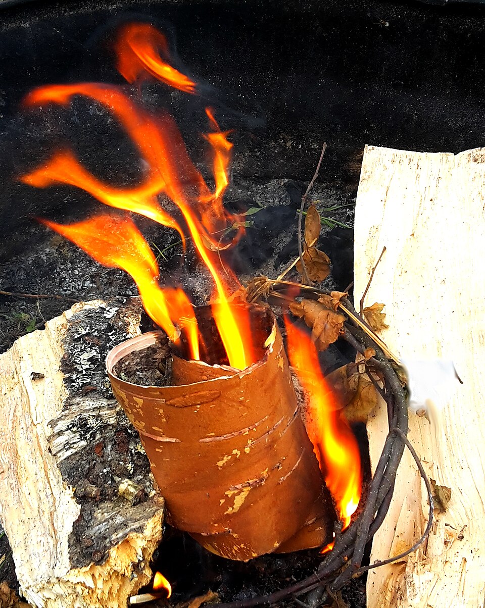 Allume-feu naturel en écorce de bouleau