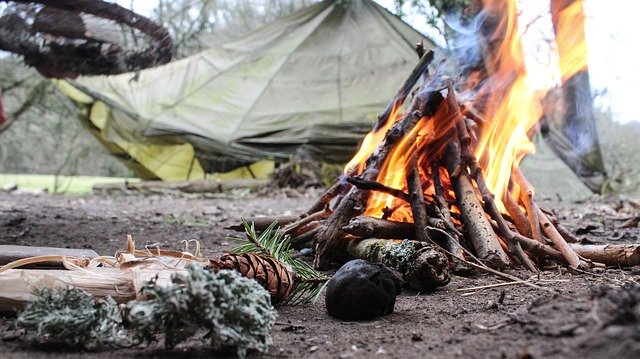 Allume-feu naturel en écorce de bouleau