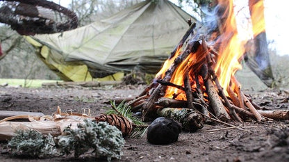Allume-feu naturel en écorce de bouleau